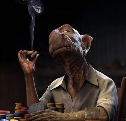 玩德扑你可以欺骗对手,但对自己的能力必须诚实!